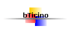 bTicino
